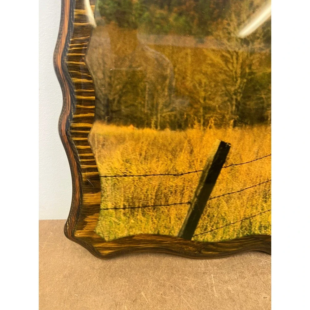 Vintage Wood Lacquer White Tail Deer Picture Cabin Wall Art Hunting Lodge Decor